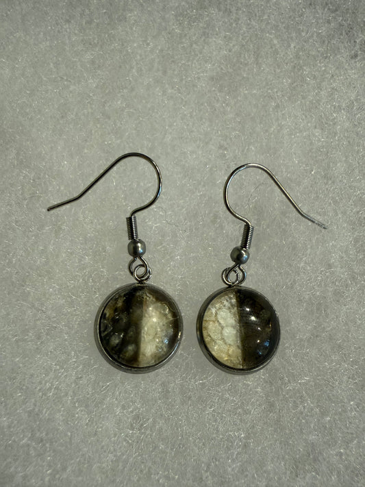 Fish skin earrings on hooks - 7